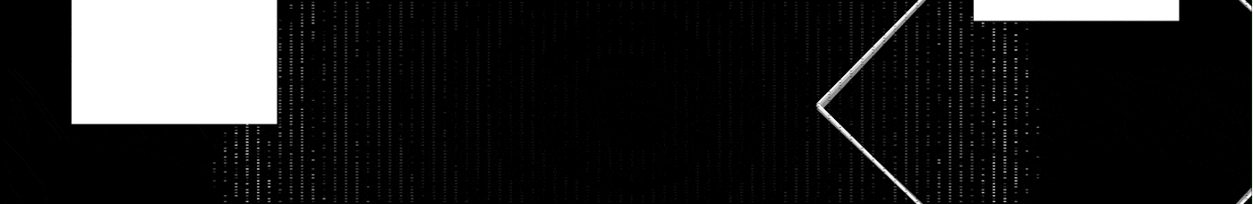 Single Image